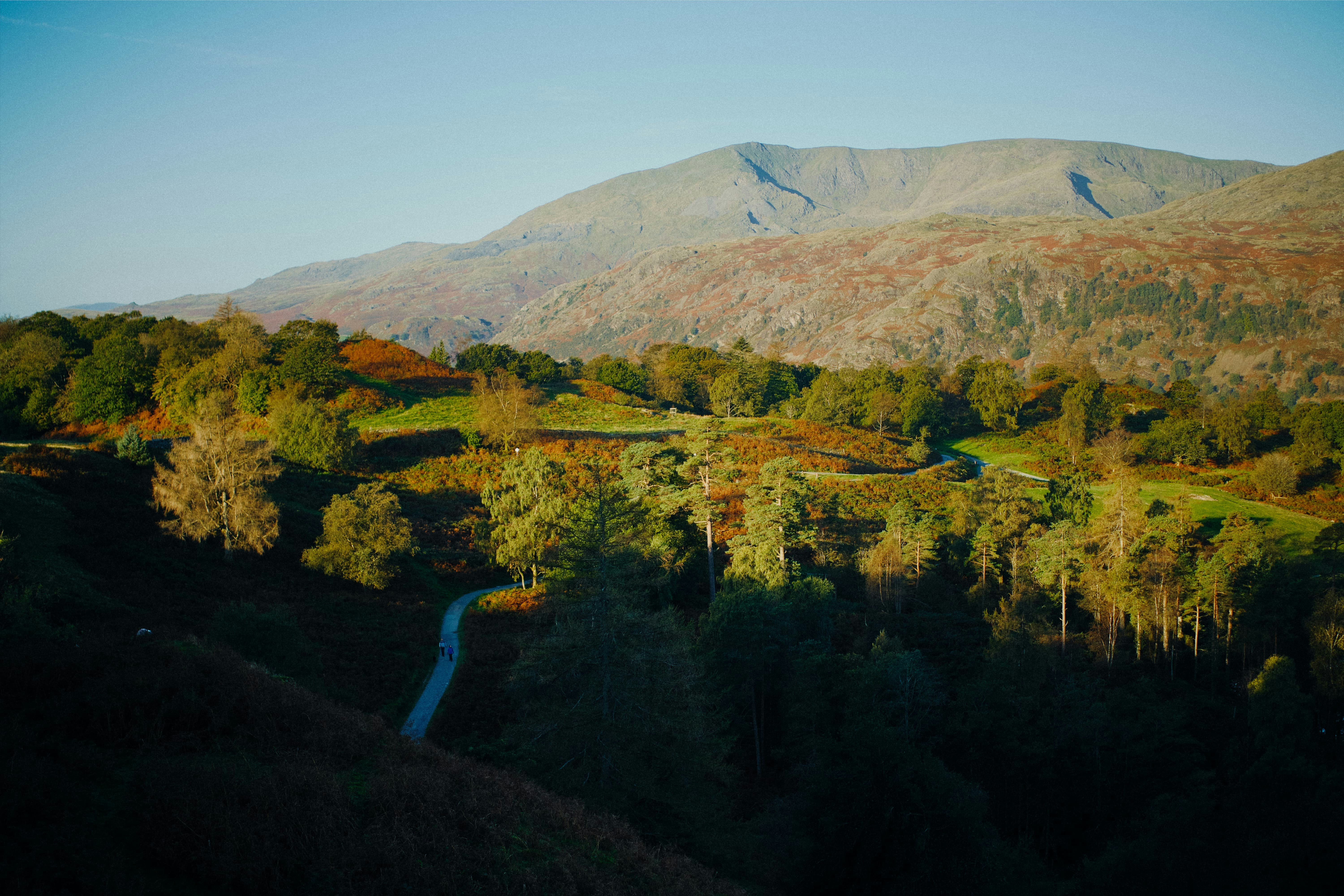 One or two people have arrived on the Tarn Hows trail as more sunlight illuminates the fells and woodlands. High above is the Old Man of Coniston or Coniston Old Man (802 m/2,632 ft), the highest of the Coniston fells and once the highest peak in Lancashire before the formation of the county of Cumbria.