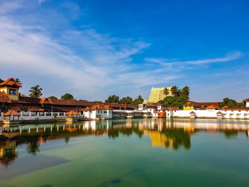 green trees near body of water under blue sky during daytime