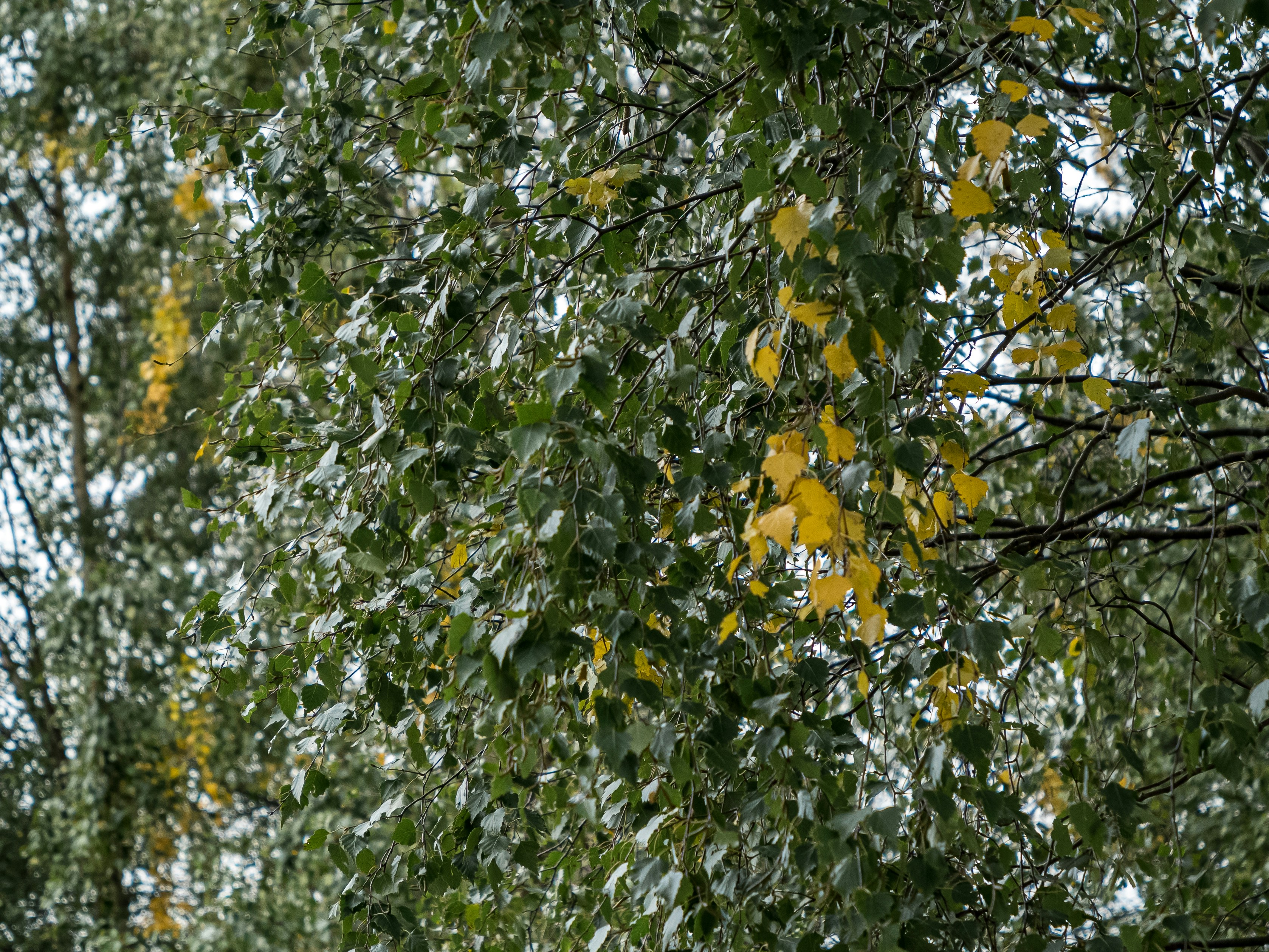 Photo by space_face_films