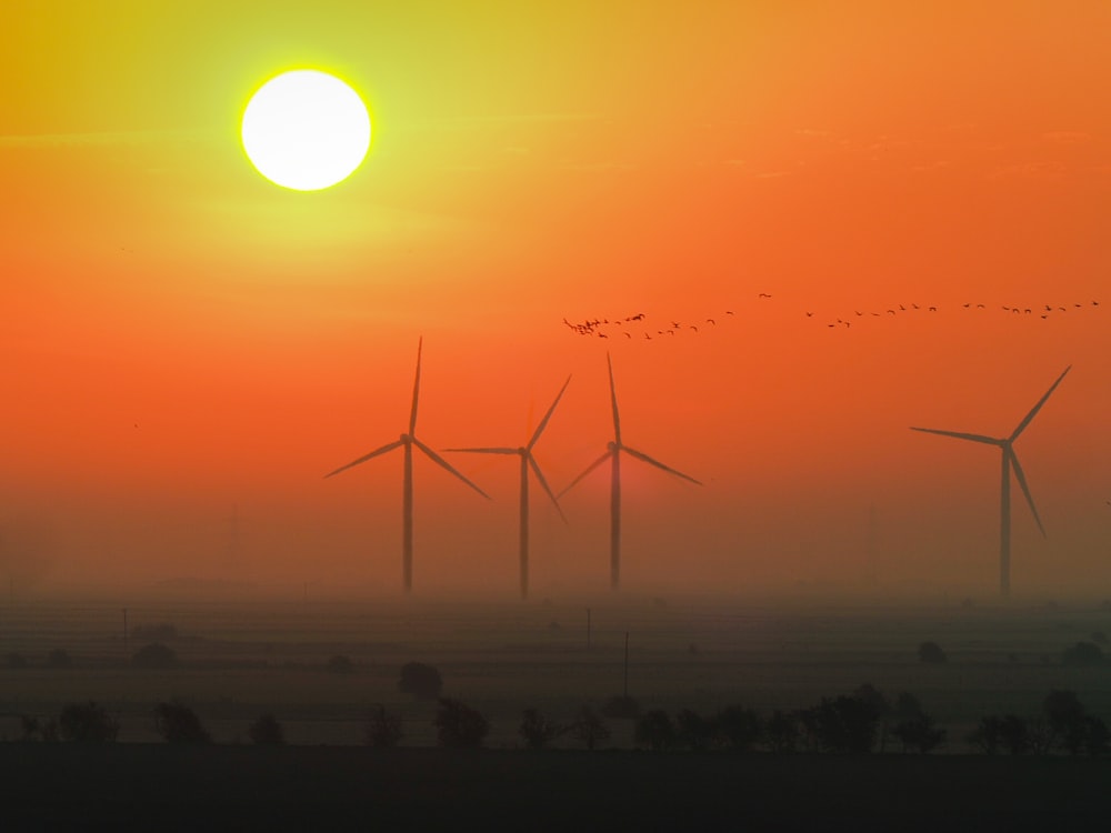 silhouette of wind turbines during sunset