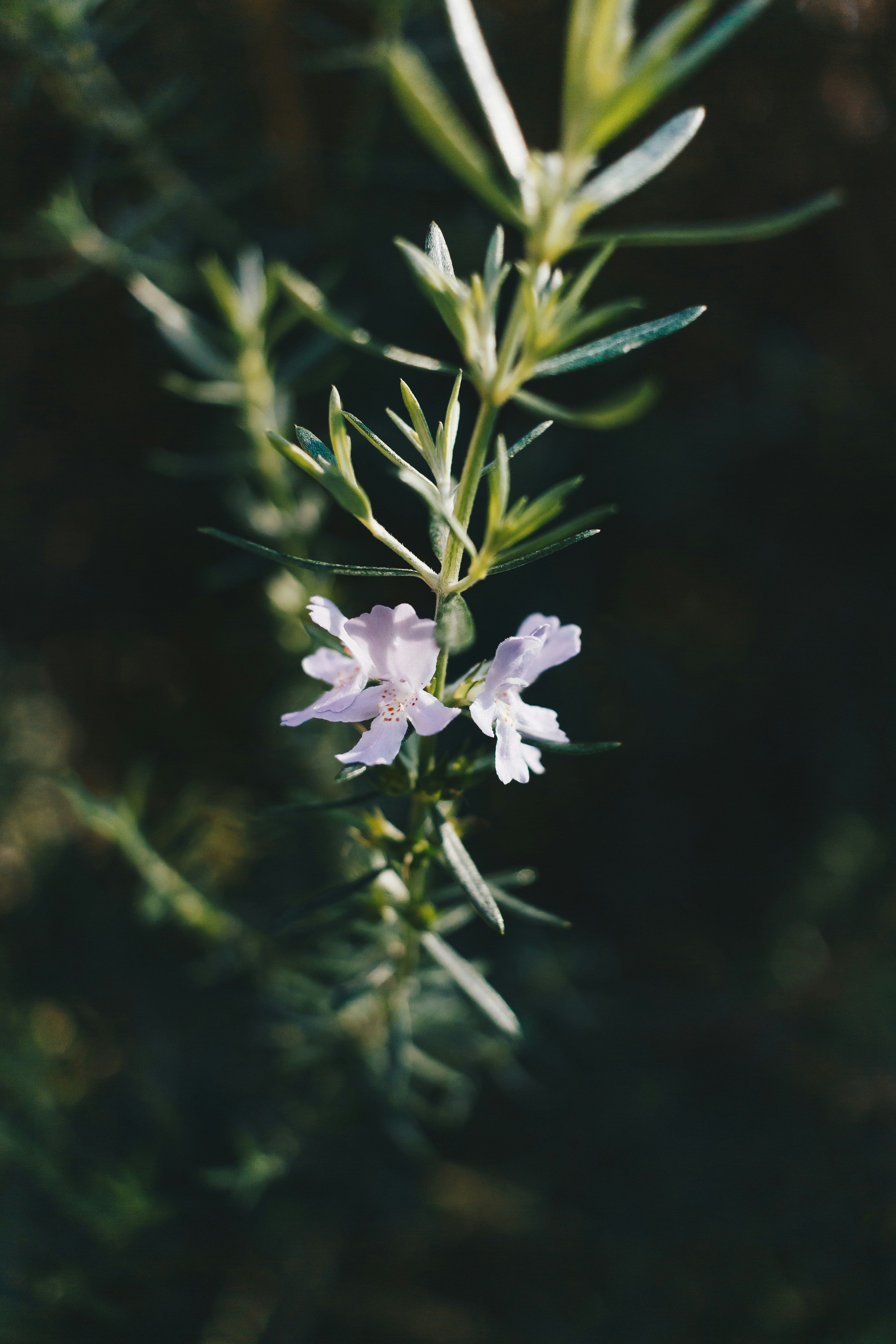 Photo by sincerelymedia