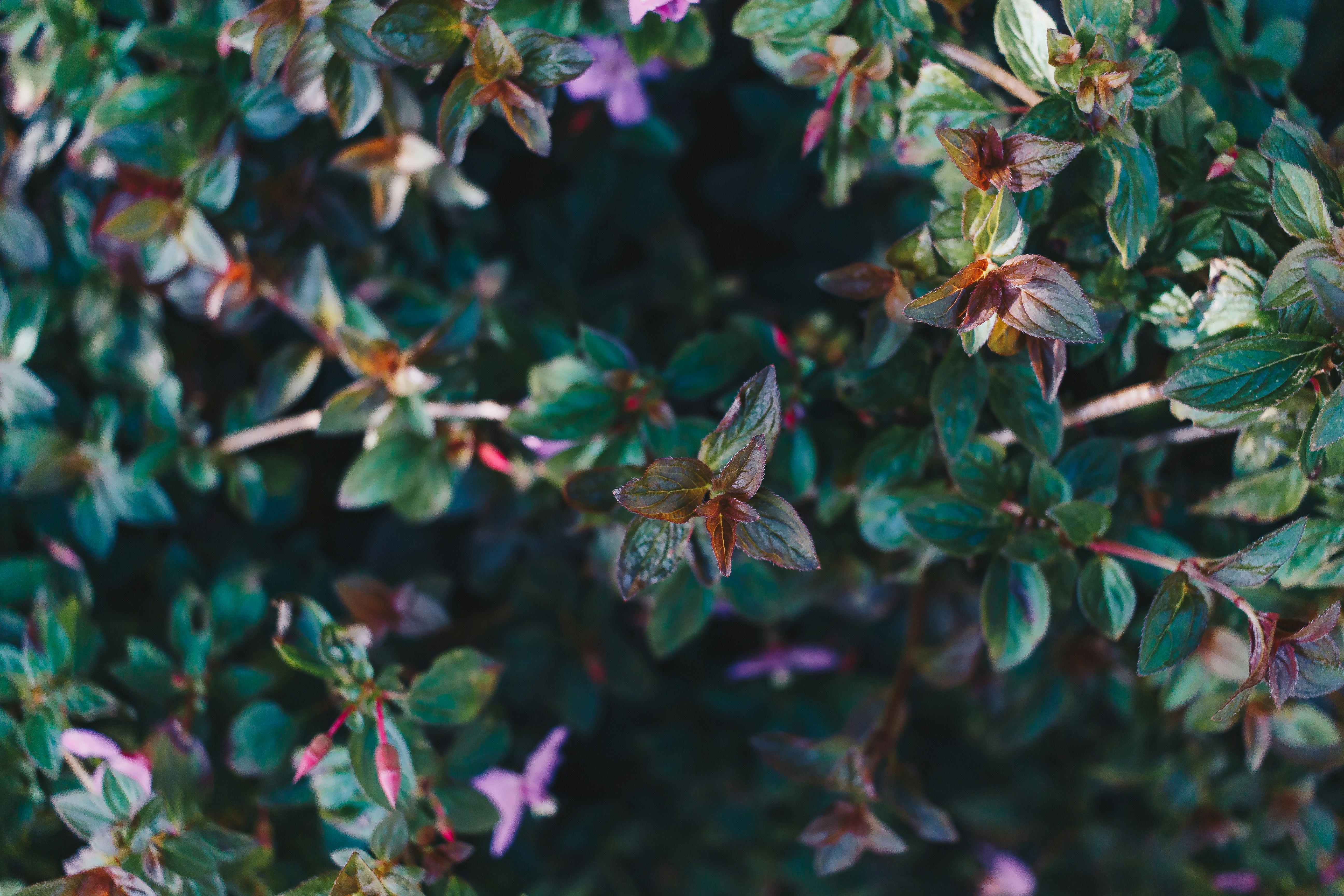 Photo by sincerelymedia