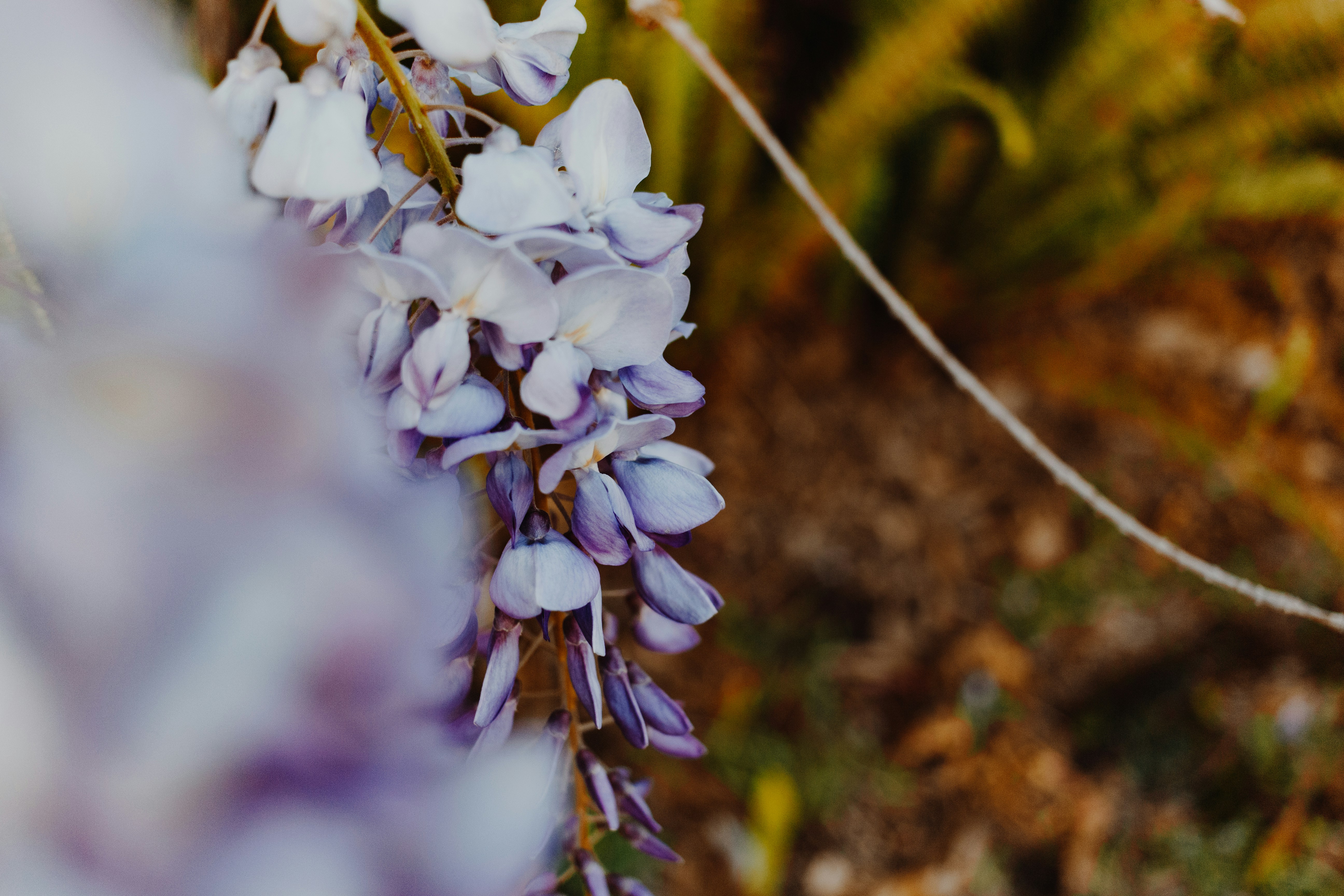 Photo by sincerelymedia