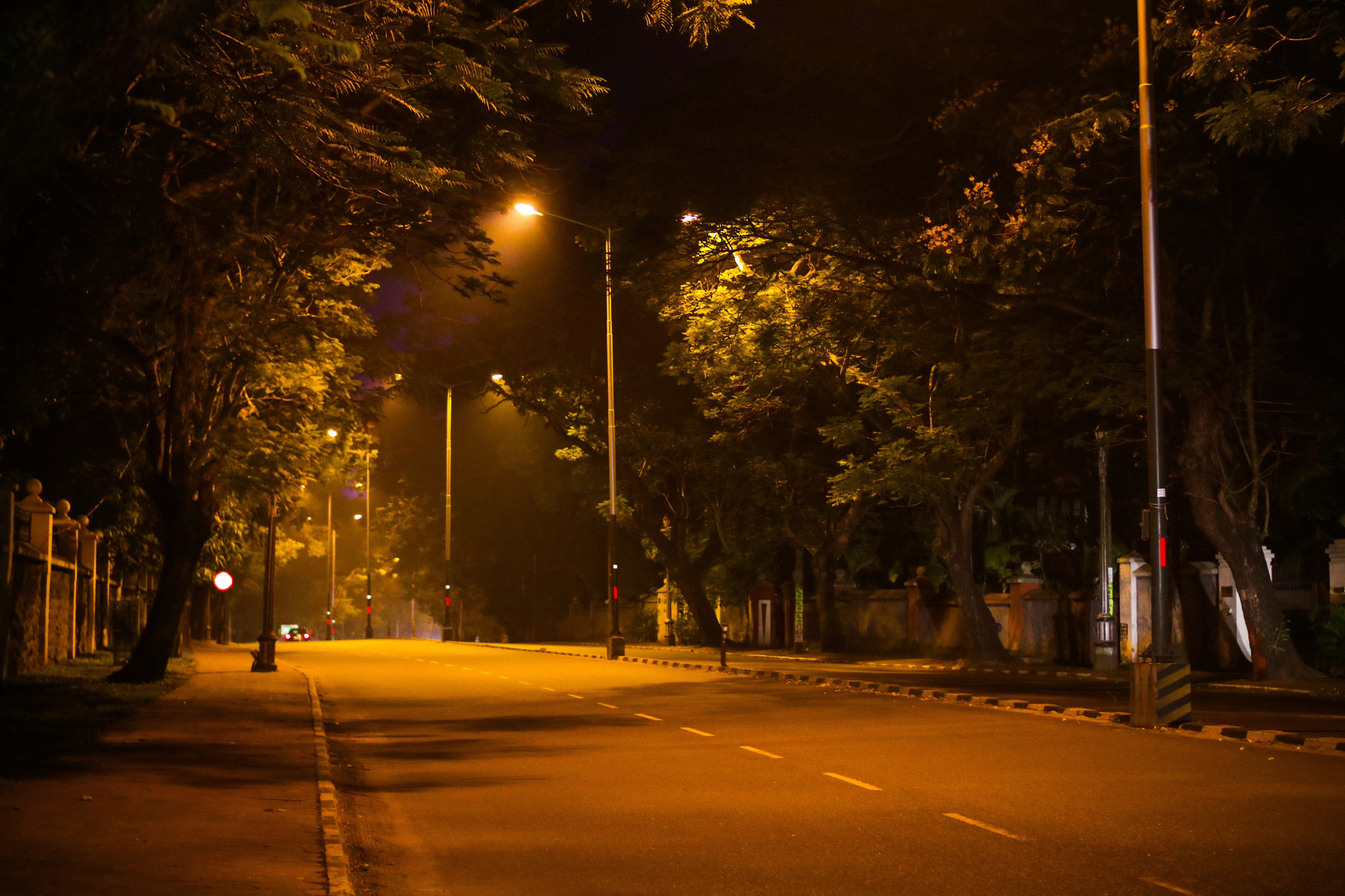 Thursday Night Football: Get Ready for Ravens vs Dolphins!