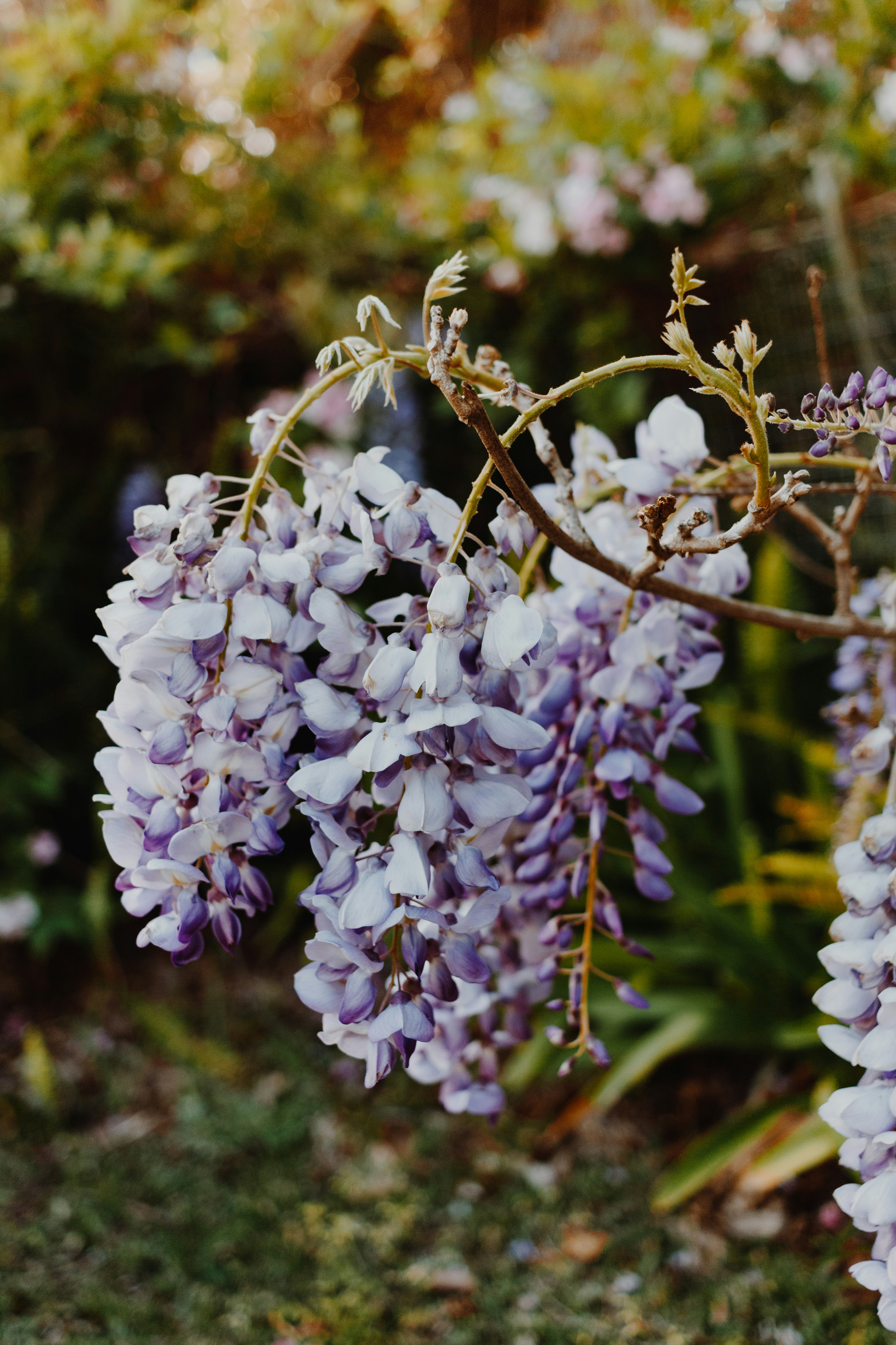 Photo by sincerelymedia