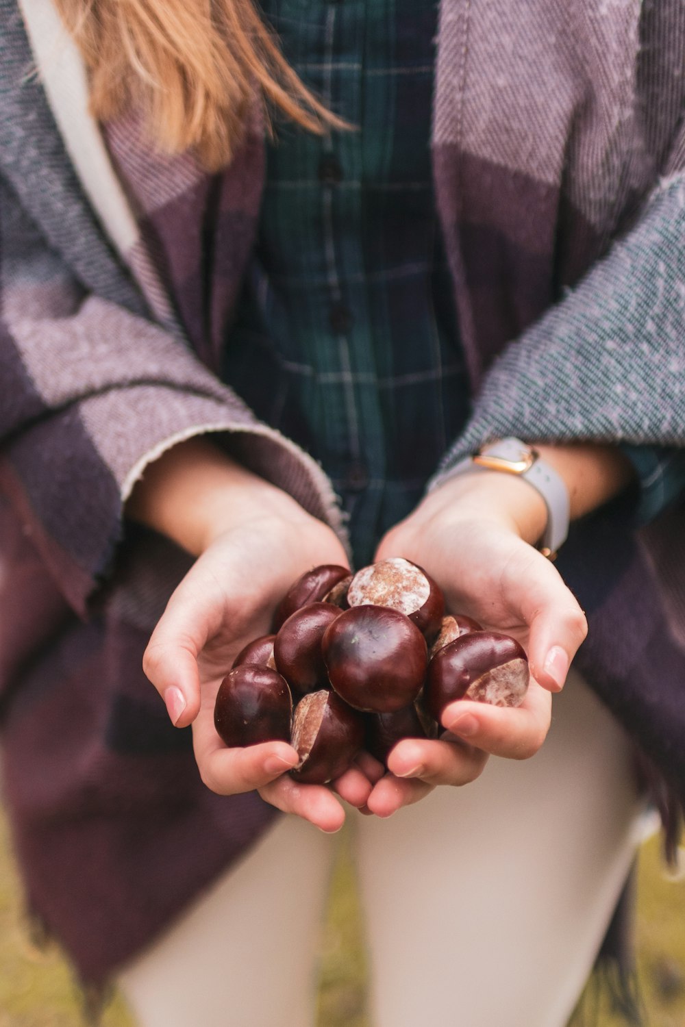 person holding brown round fruit