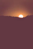 A nature photo of a sunset evolving into a flowing MP4 sequence.