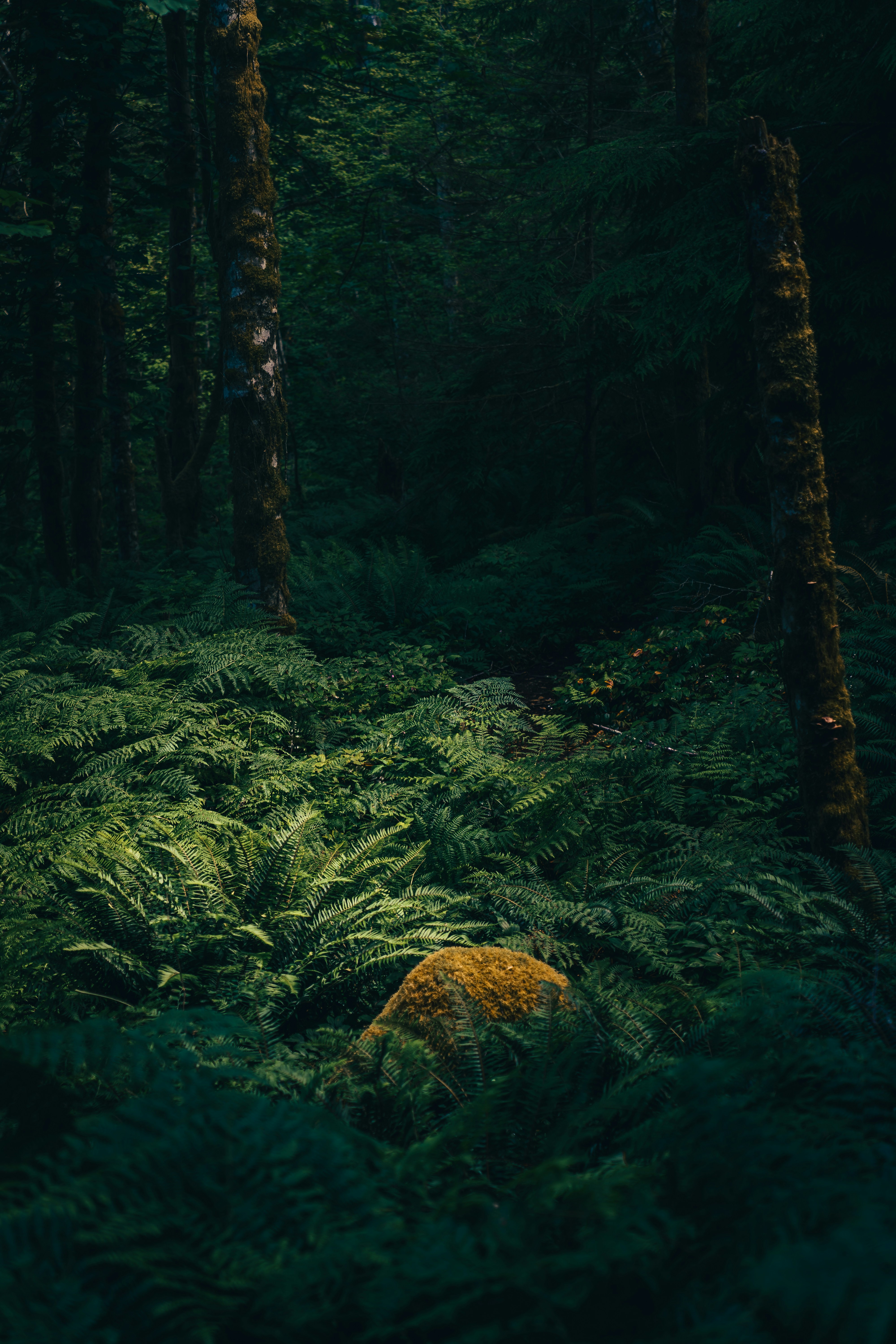 Photo by tomaswilliamsa