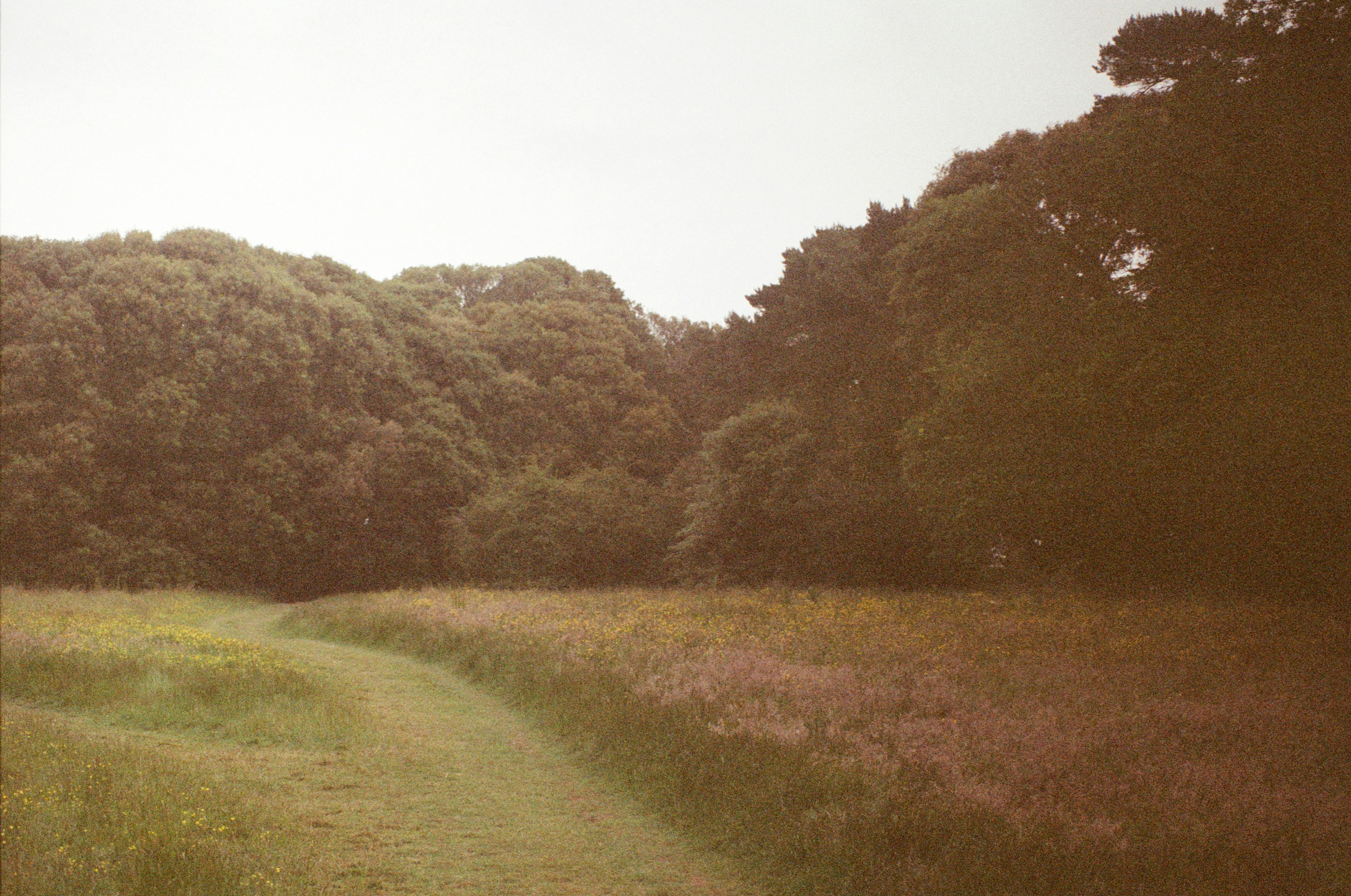 Photo by futurehaven