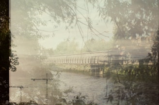 A dreamy, layered composition that merges elements of a riverbank with branches and structures like cranes and a bridge. The image is filled with foliage and a soft overlay effect that creates a serene and slightly surreal atmosphere.