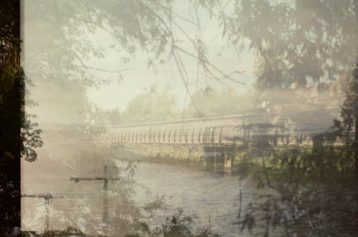A dreamy landscape blending nature and musical elements like treble clefs and staffs.
