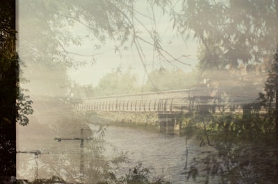A dreamy, layered composition that merges elements of a riverbank with branches and structures like cranes and a bridge. The image is filled with foliage and a soft overlay effect that creates a serene and slightly surreal atmosphere.