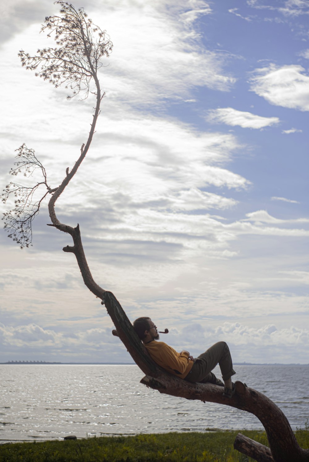 man in brown jacket sitting on tree branch during daytime