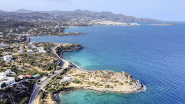 aerial view of green trees and blue sea during daytime