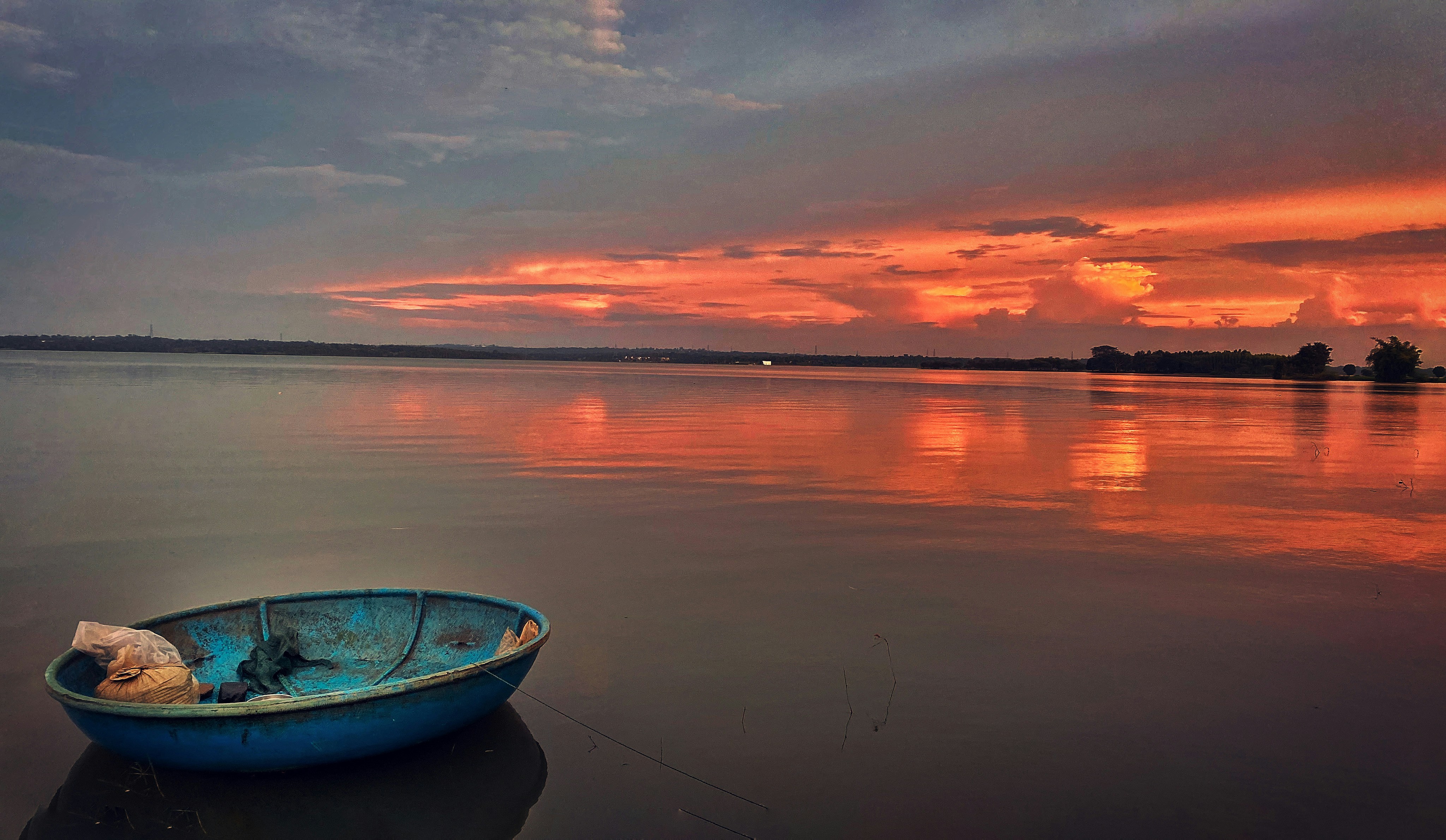 Photo by priyankarao