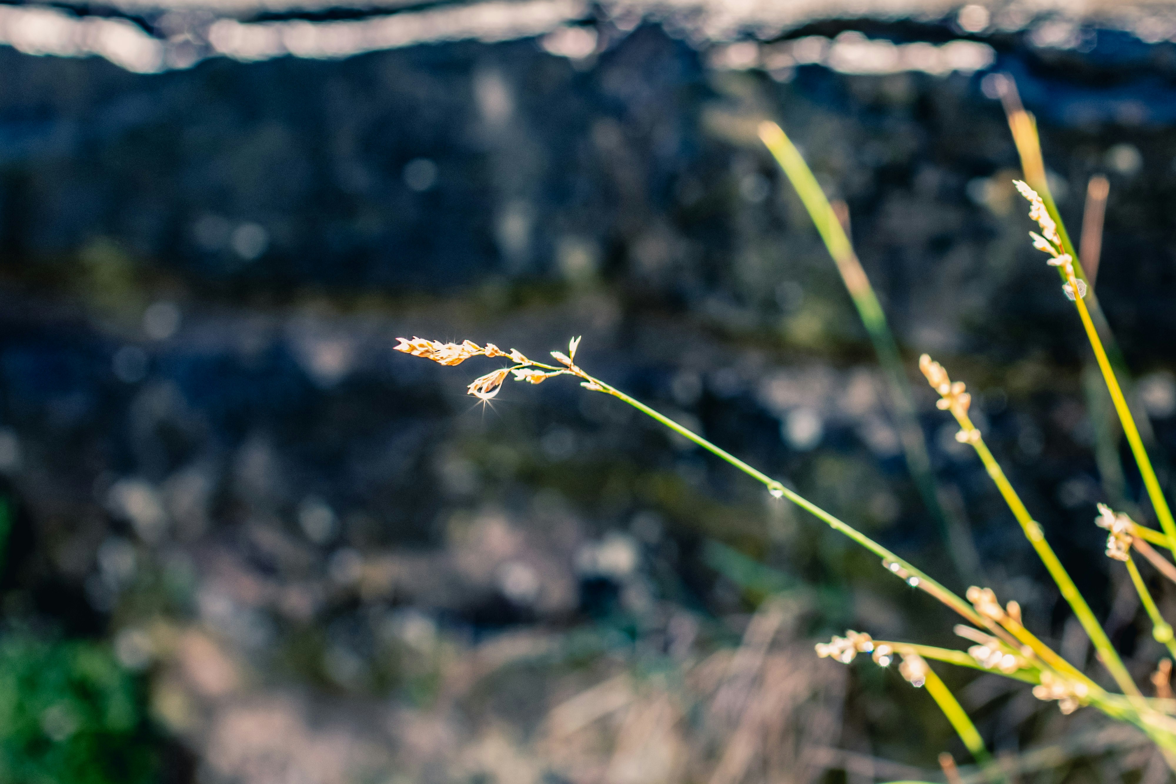 Photo by elmuff