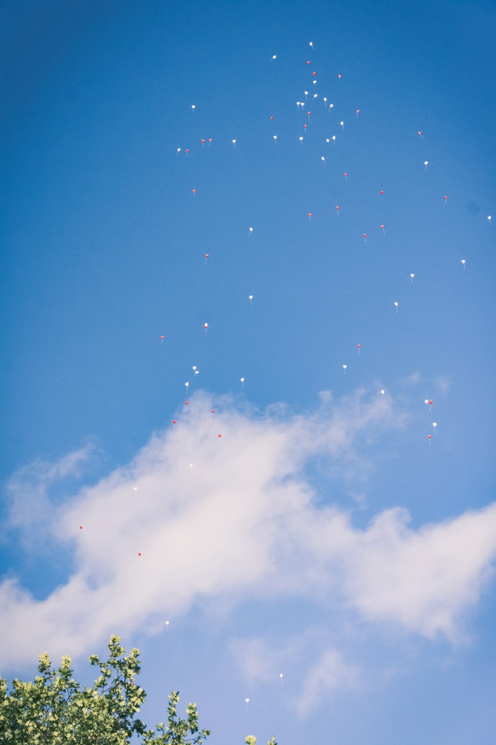 white clouds and blue sky during daytime