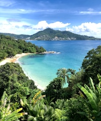 a view of a tropical beach from a hill