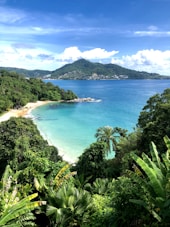 a view of a tropical beach from a hill