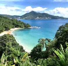 a view of a tropical beach from a hill