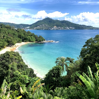 a view of a tropical beach from a hill