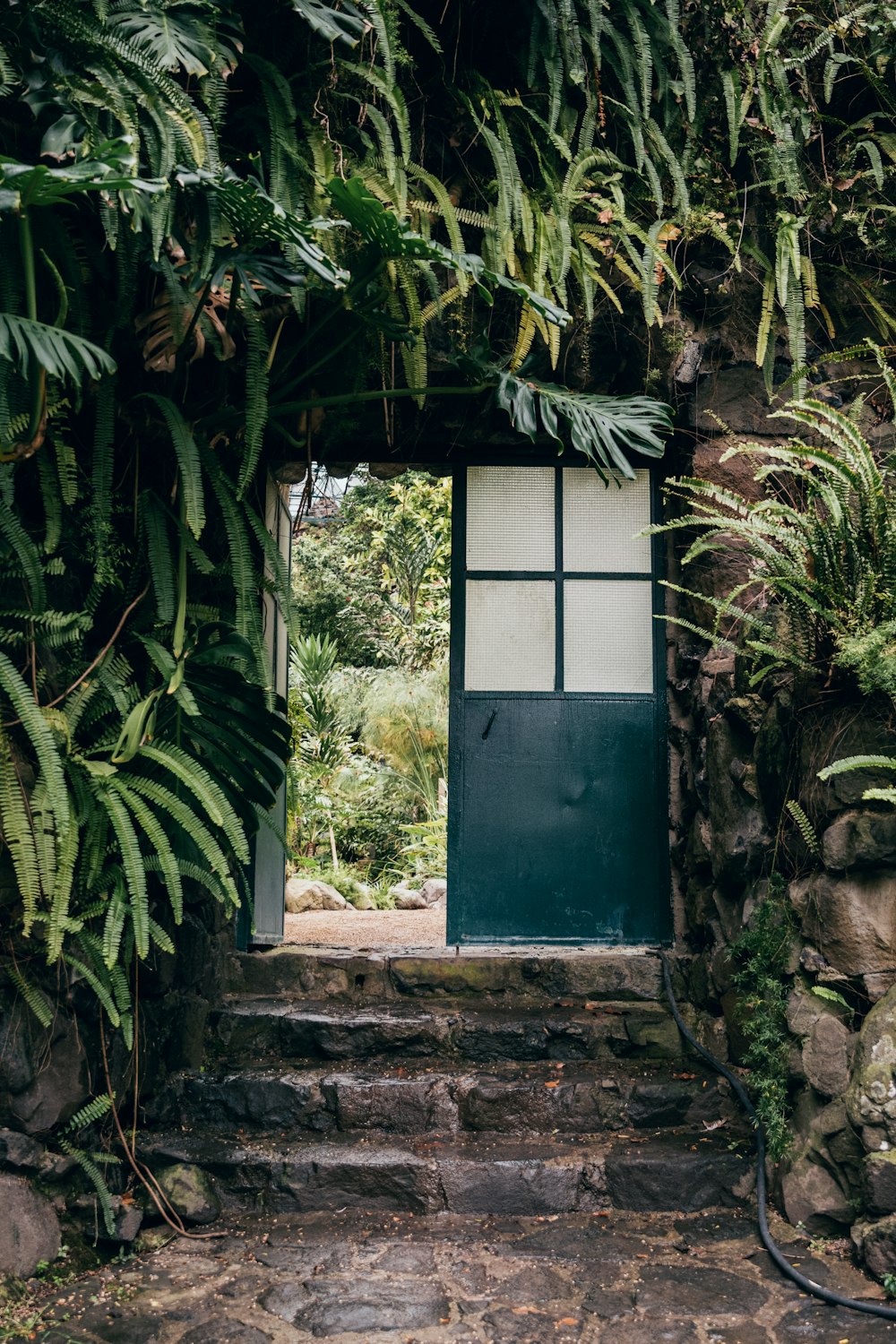 blue wooden window frame near green leaf plant during daytime