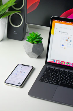 Mobile phone and laptop representing the microloan app