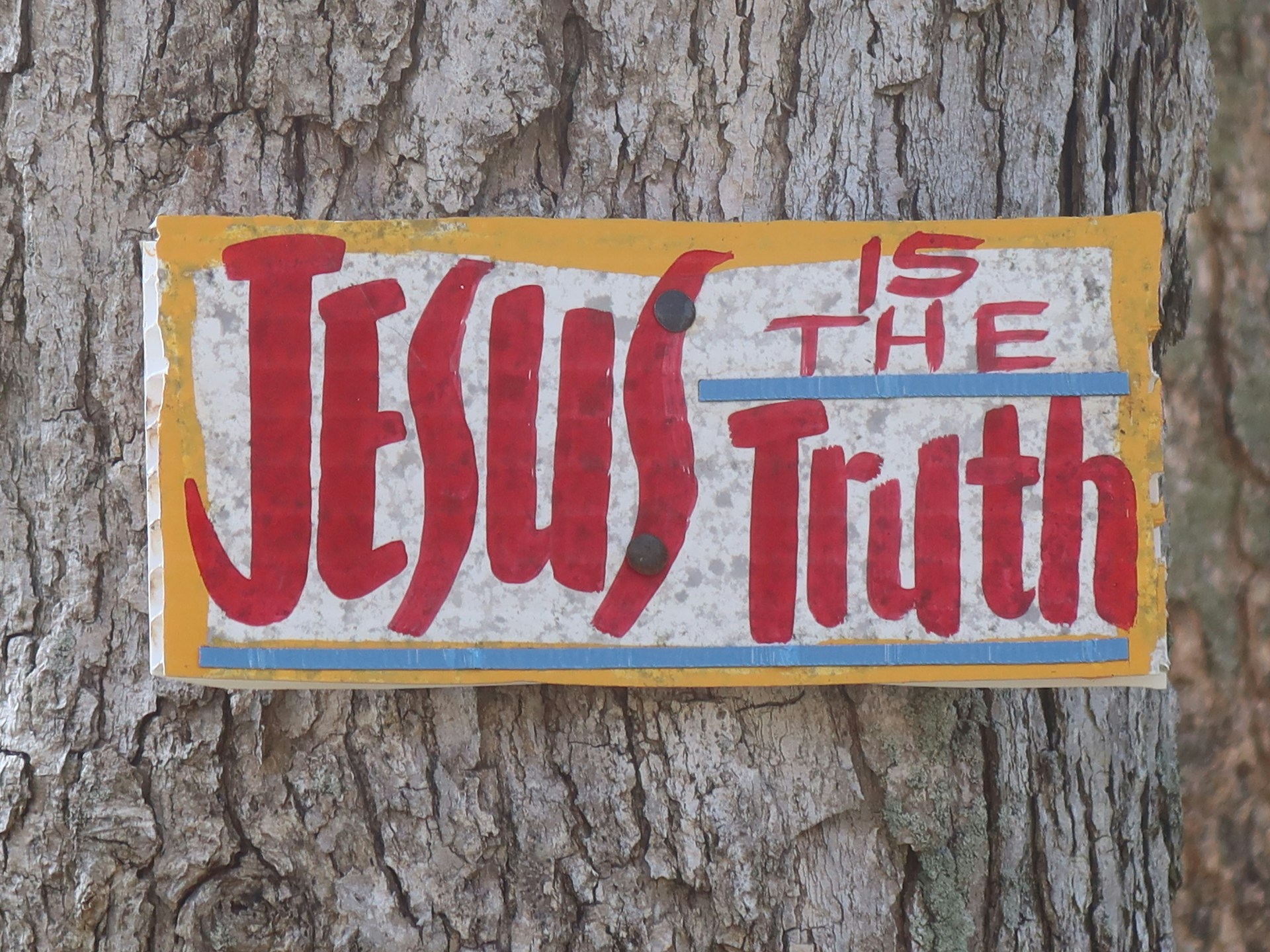 a sign on a tree that says jesus is the truth