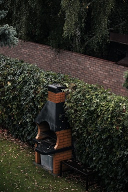 Sunlit backyard with seating around a stone barbecue pit and garden herbs.