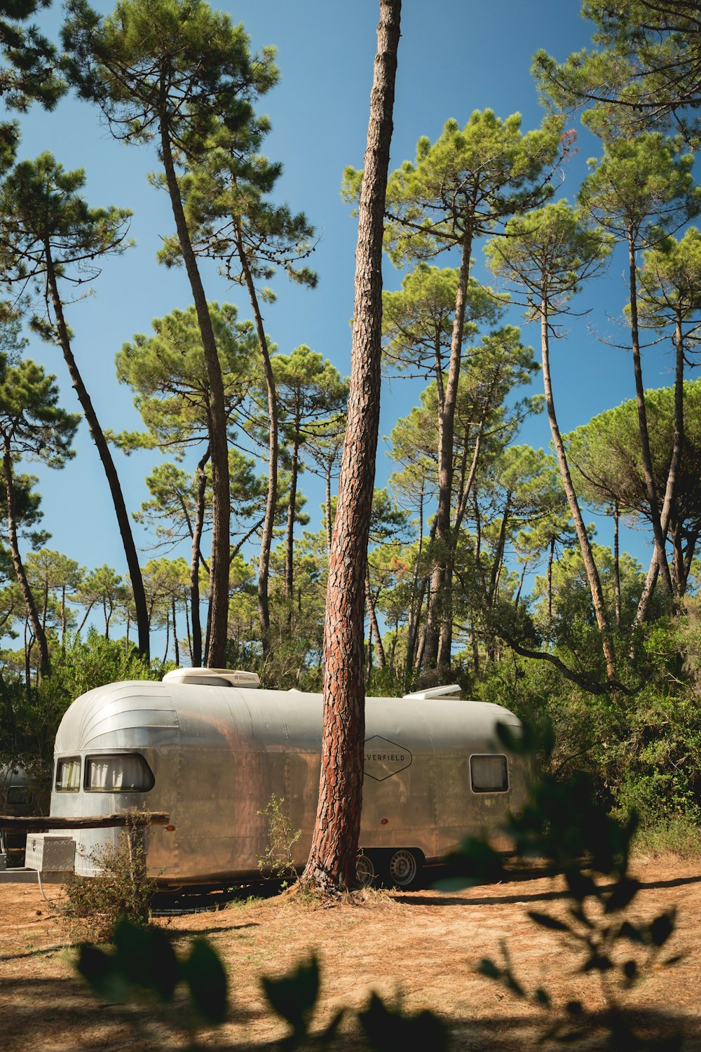 green trees near white van during daytime