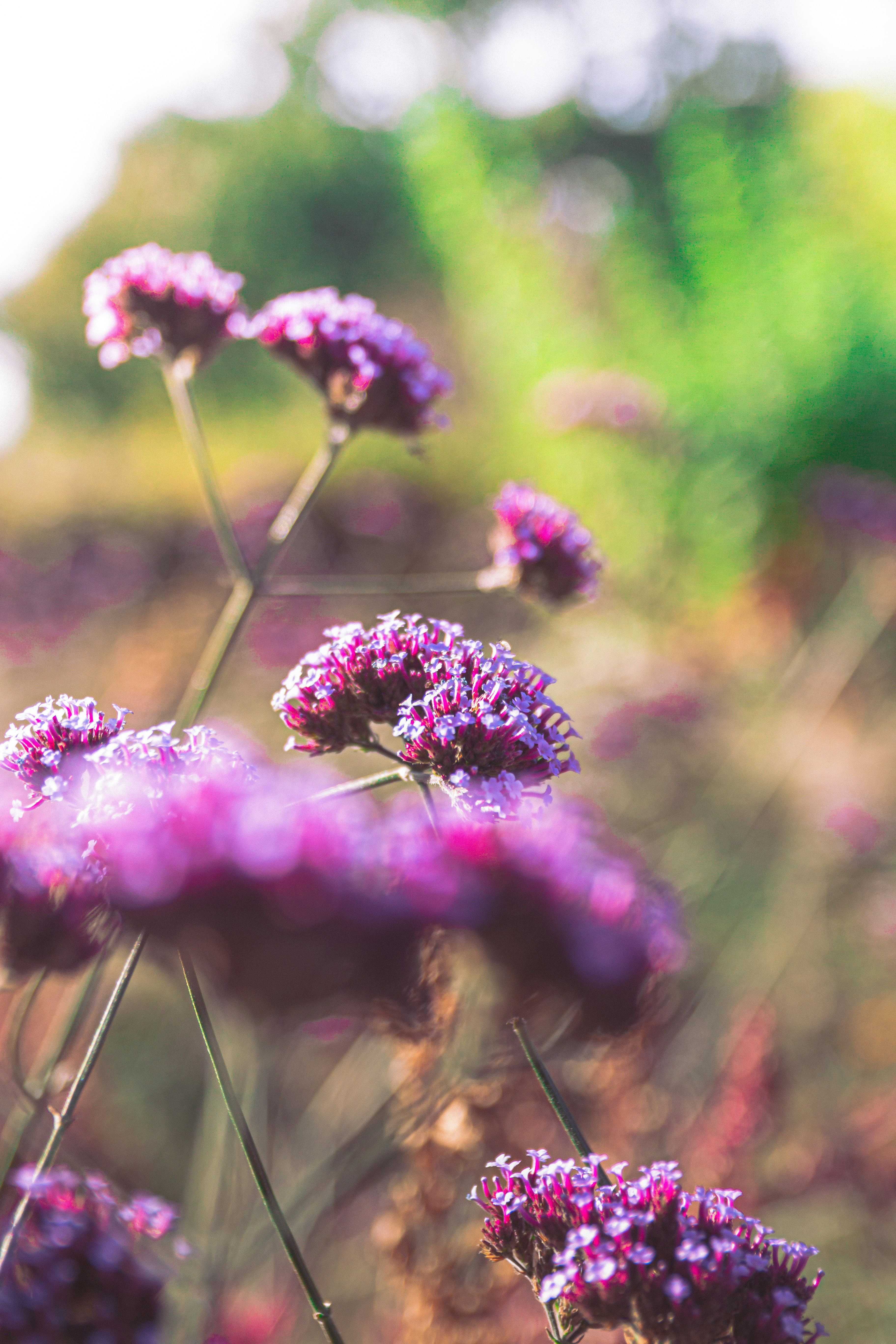 Photo by dom__