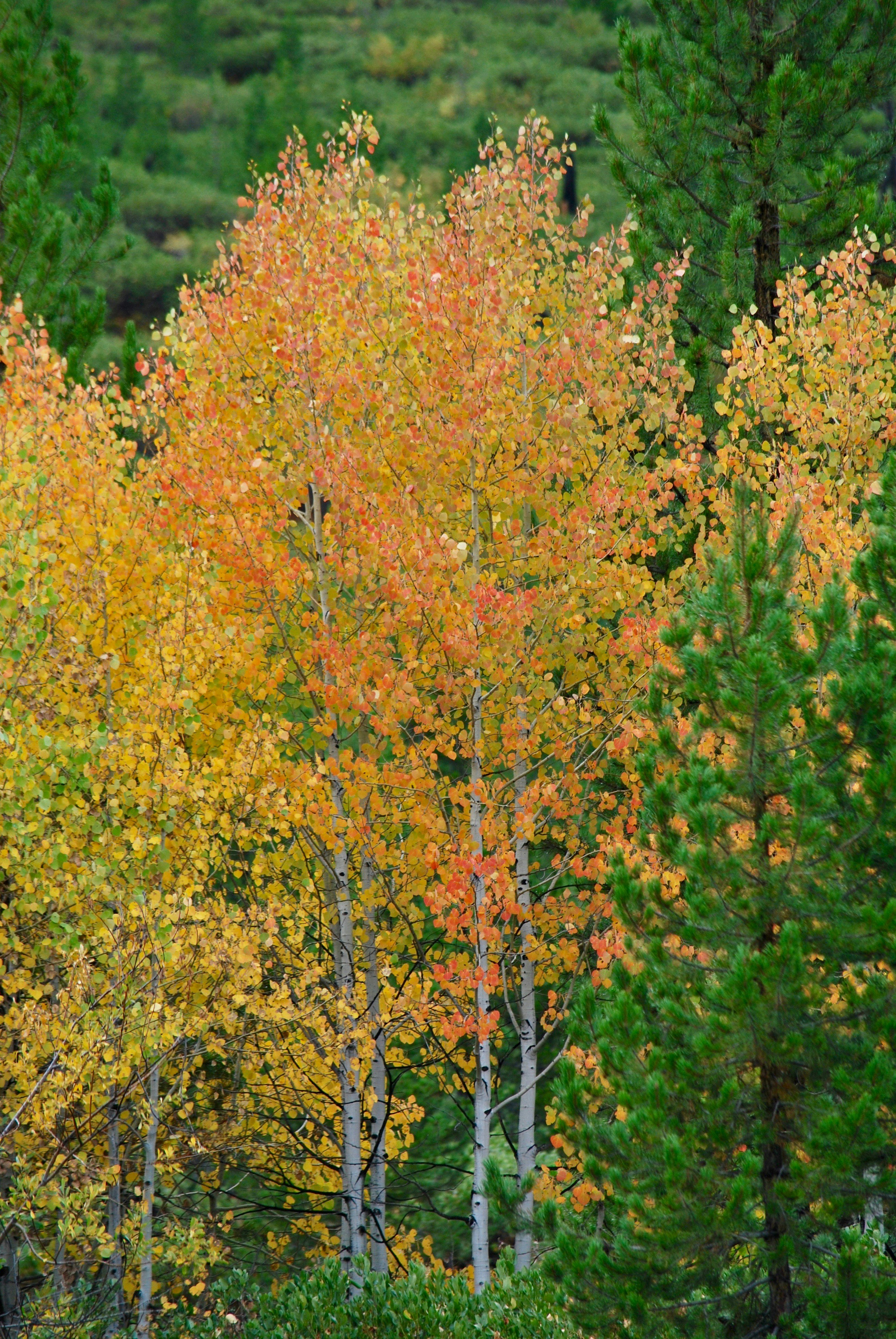 Photo by tonitisdale