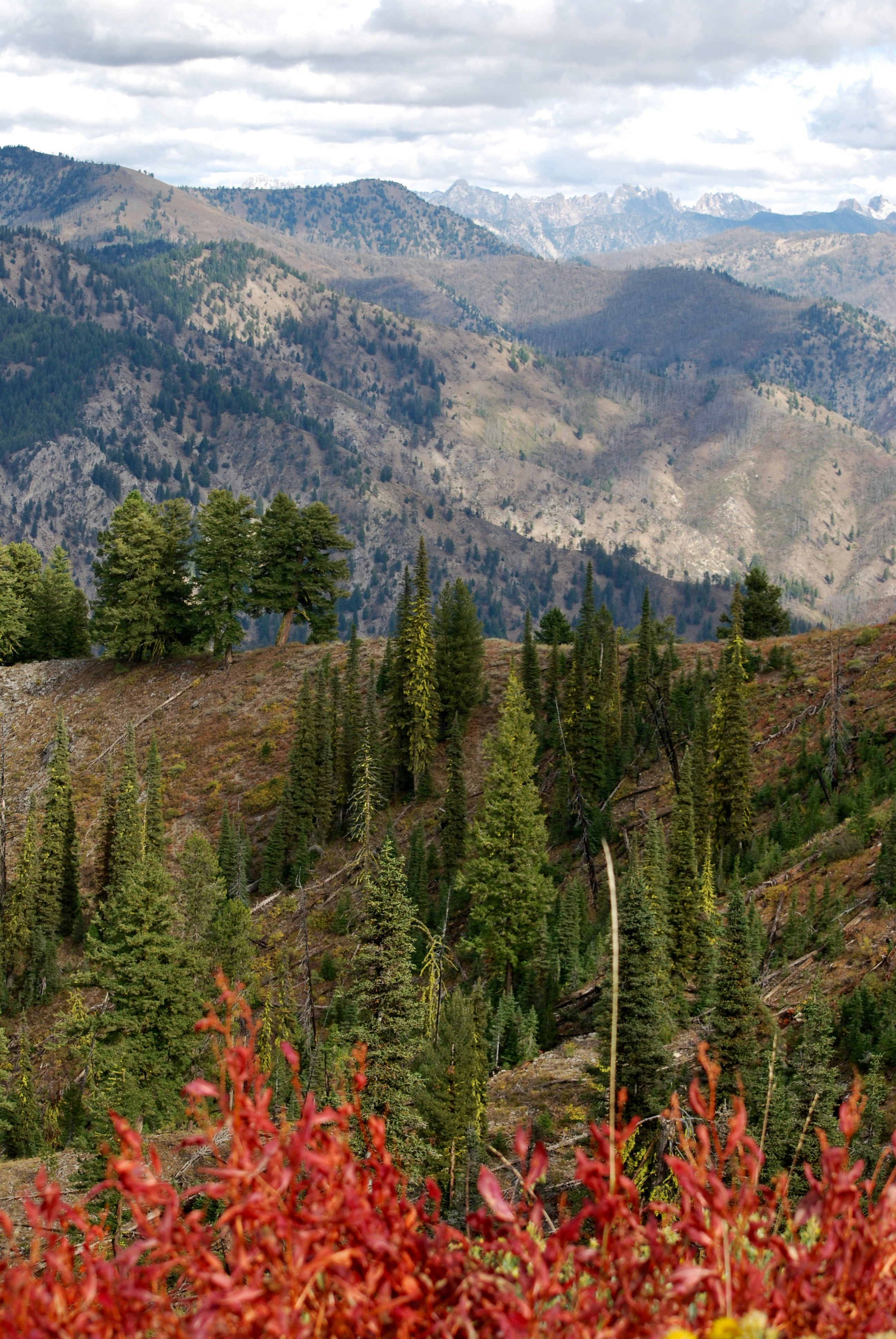 Photo by tonitisdale