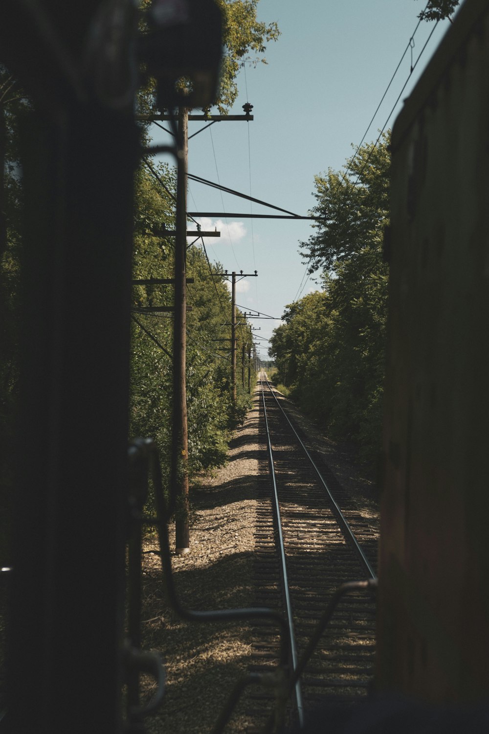 train rail in the middle of the forest