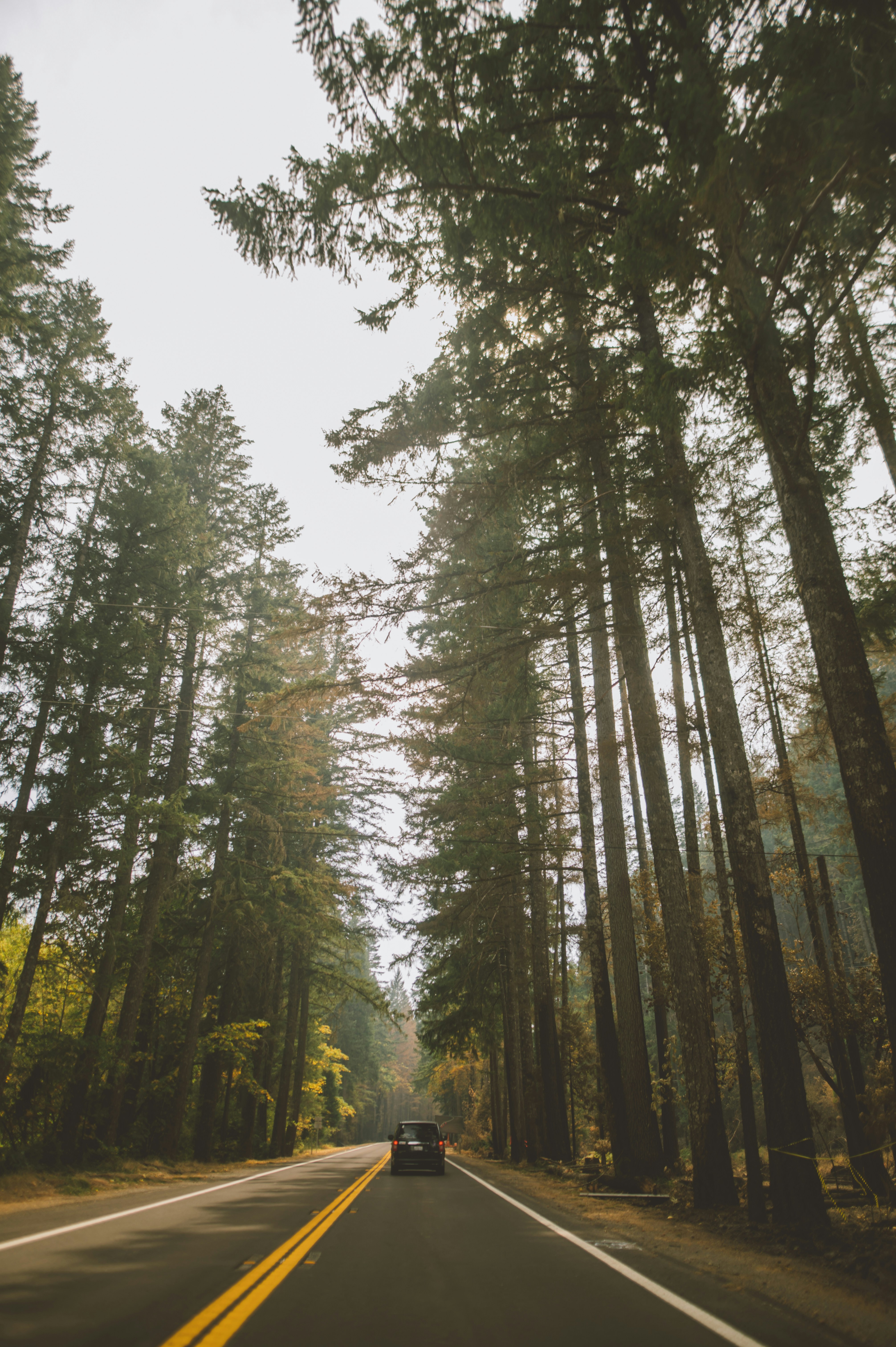 Photo by ayeeitscorrupt