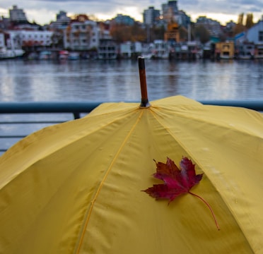 A yellow umbrella with a red maple leaf resting on it, set against a blurred background of a waterfront cityscape. The scene appears overcast with a calm body of water and buildings visible in the distance.