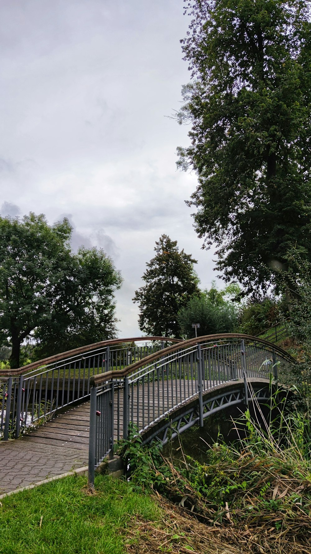 brown wooden bridge near green trees under white clouds during daytime