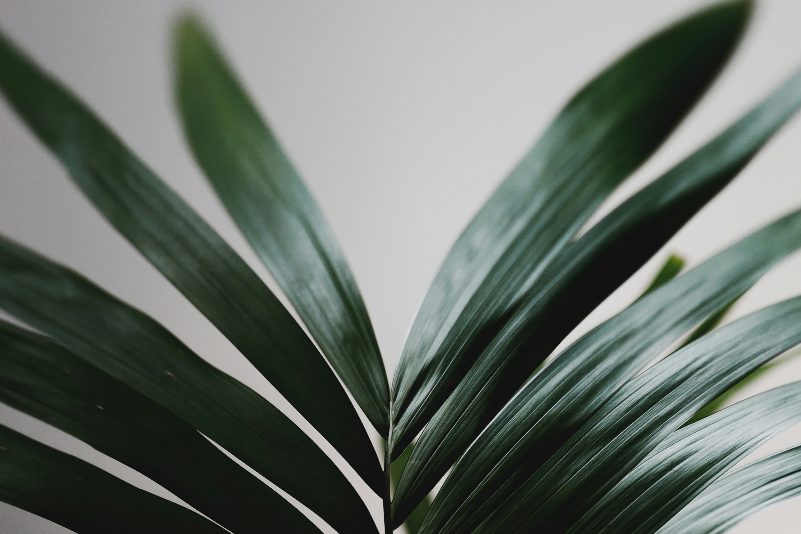 Photo by kekekristen