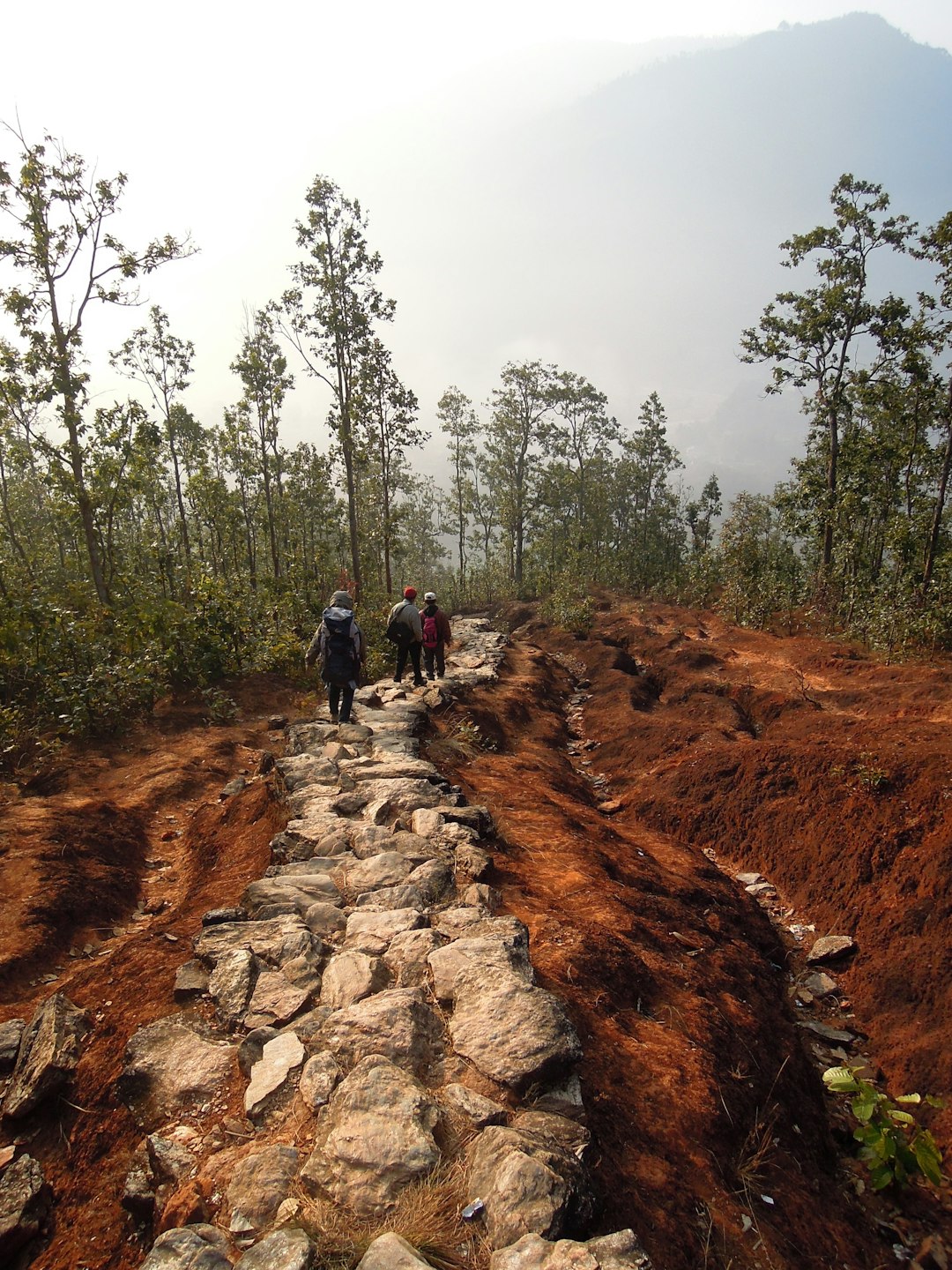 Forest photo spot Nuwakot Nepal