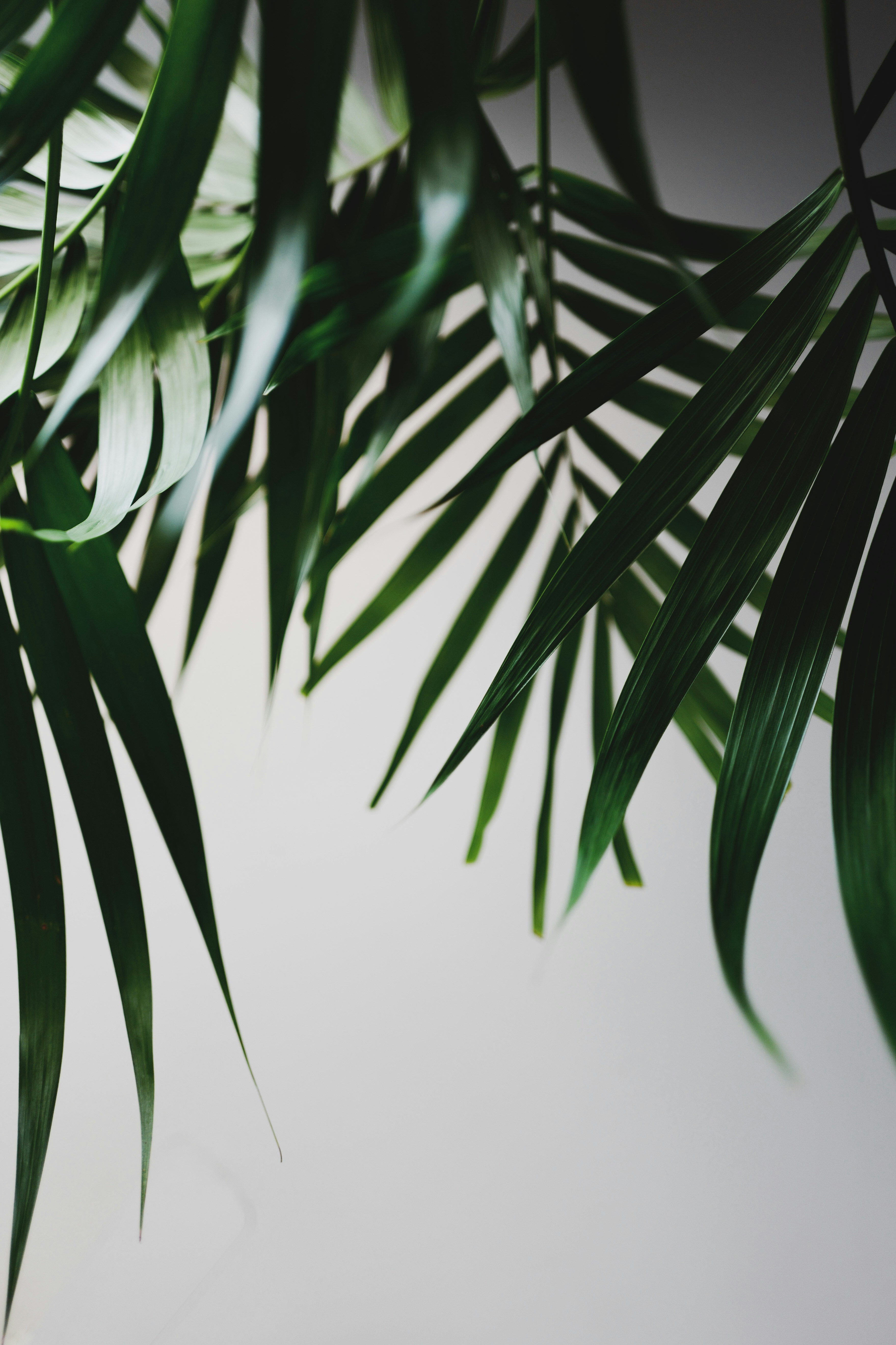 Photo by kekekristen