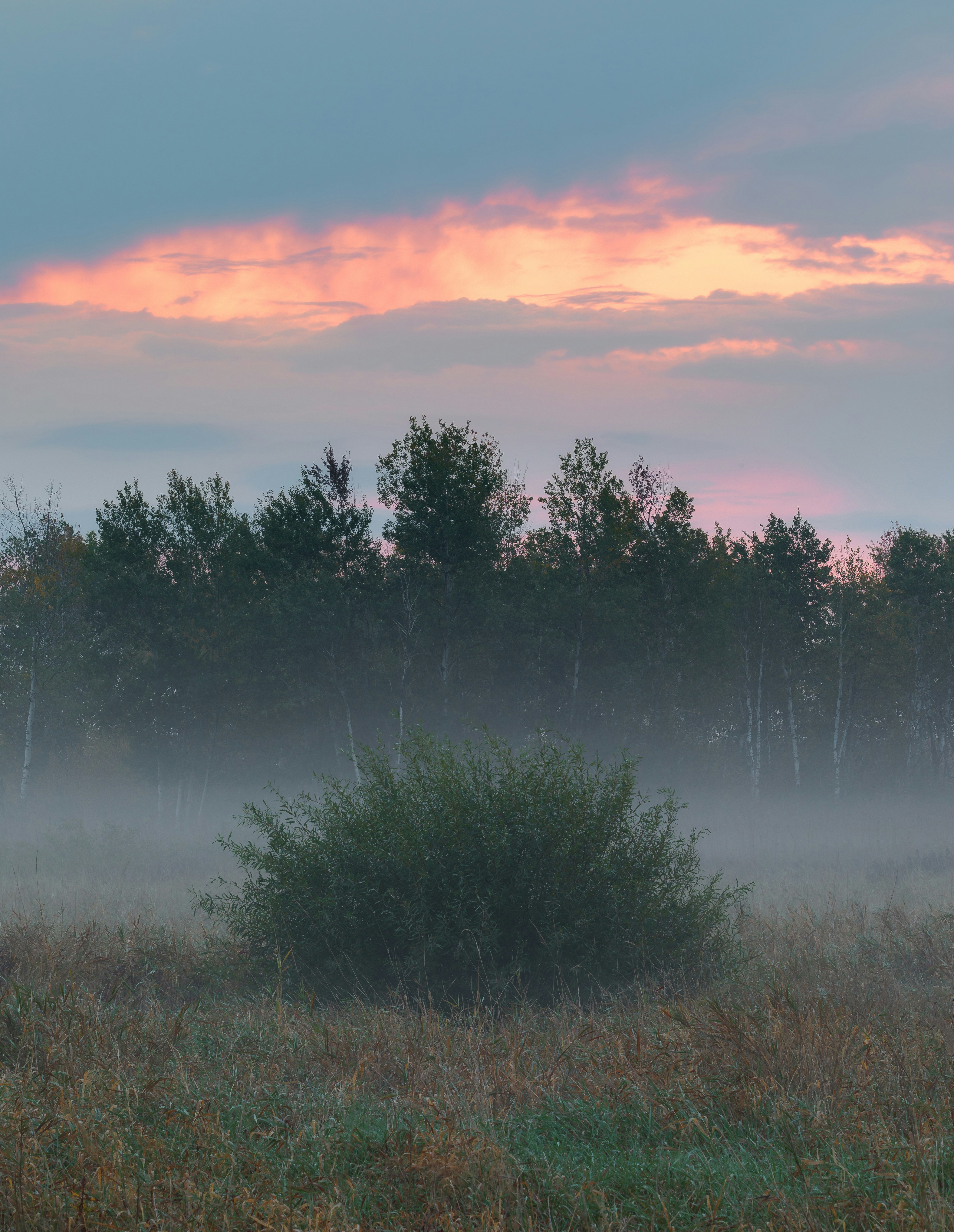 Green grass and trees under cloudy sky during daytime photo Free