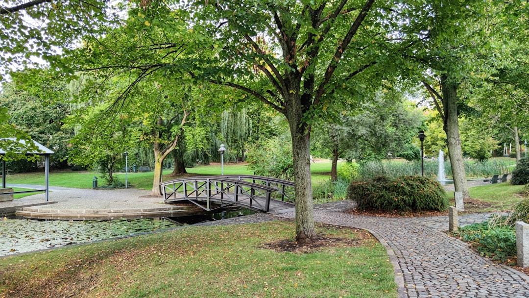 Nature reserve photo spot Neustadt am Rübenberge Externsteine