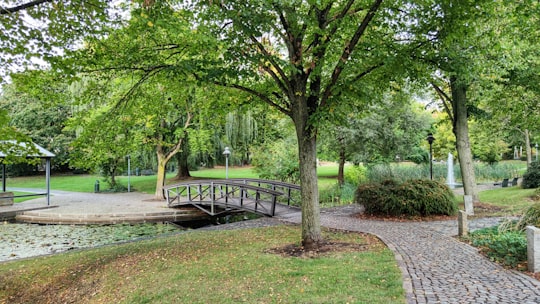 black wooden bench on green grass field in Neustadt am Rübenberge Germany