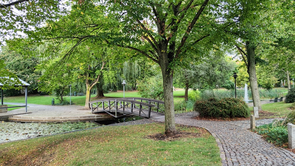 black wooden bench on green grass field