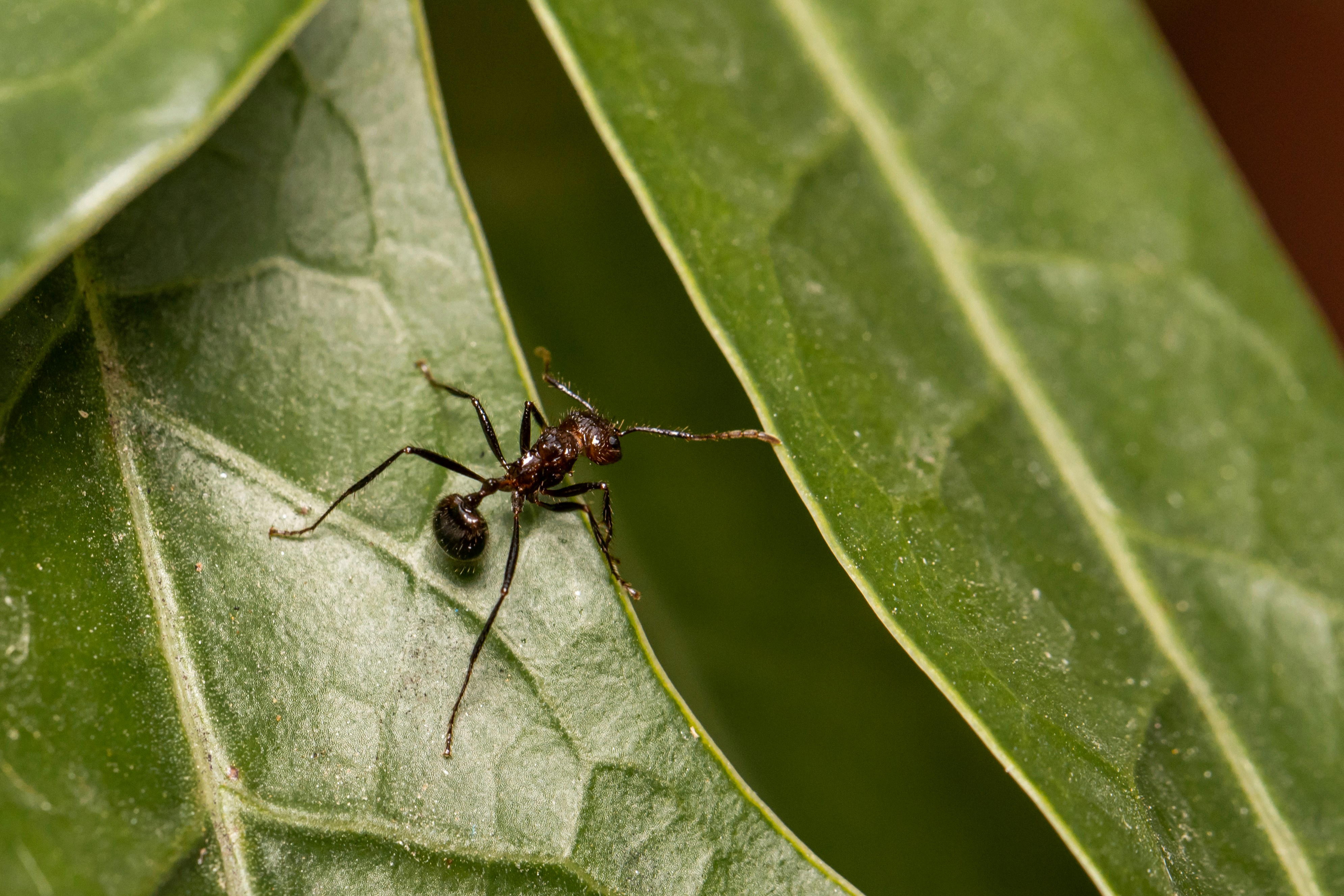 Photo by syedmohdali121