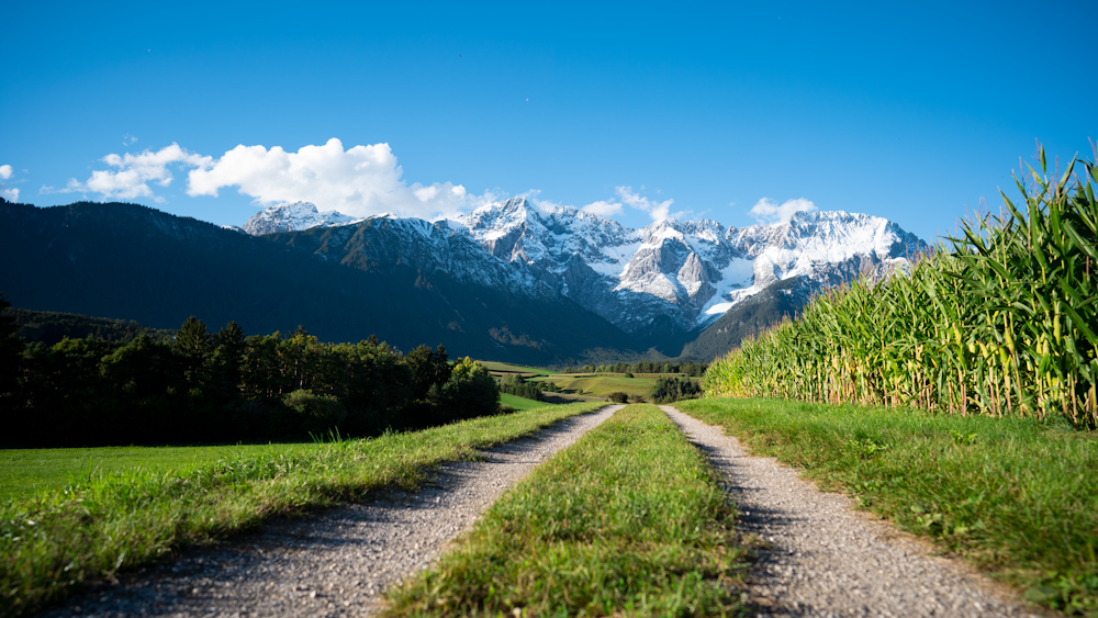 green grass field near snow covered mountains under blue sky during daytime