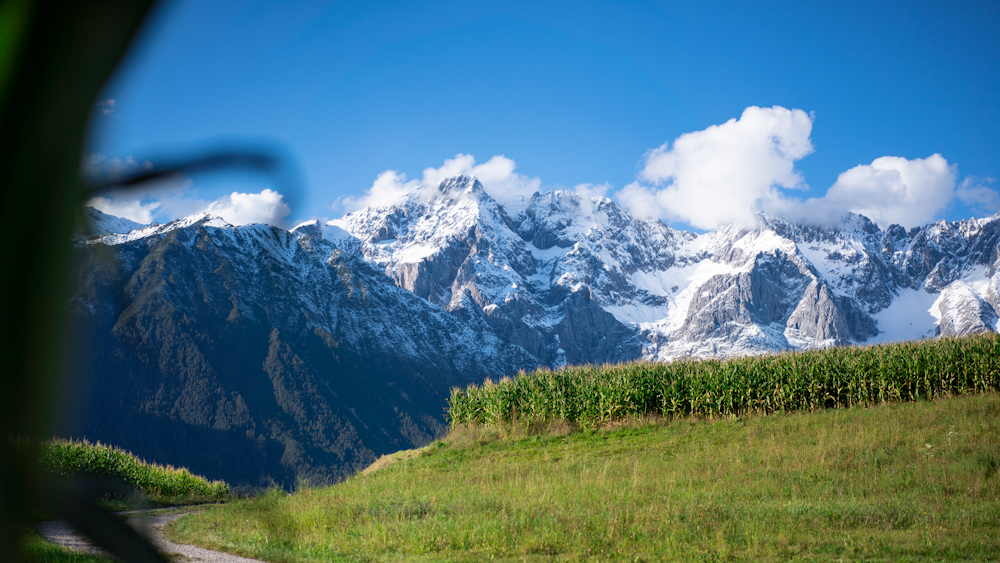 green grass field near snow covered mountain under blue sky during daytime