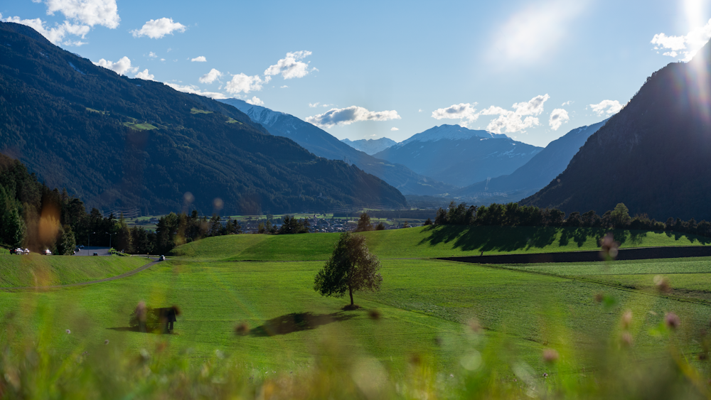 green grass field near green trees and mountains during daytime