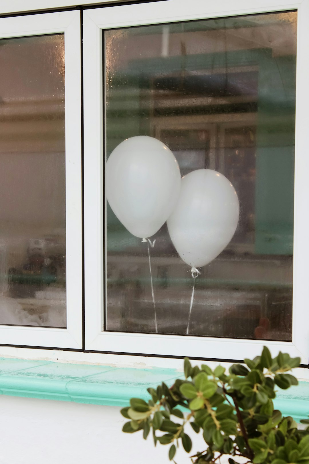 white balloons on glass window