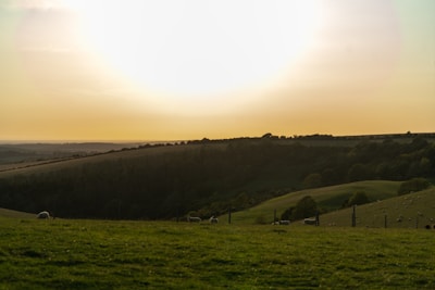 Rolling green hills dotted with sheep, framed by a vibrant sunset.
